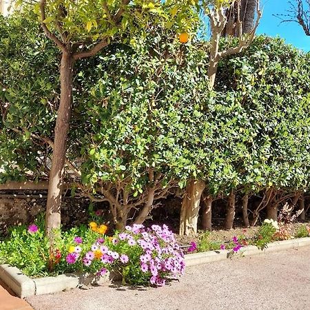 Rez-de-chaussée privatif spacieux 3* d'une villa centre ville Hyères Esterno foto