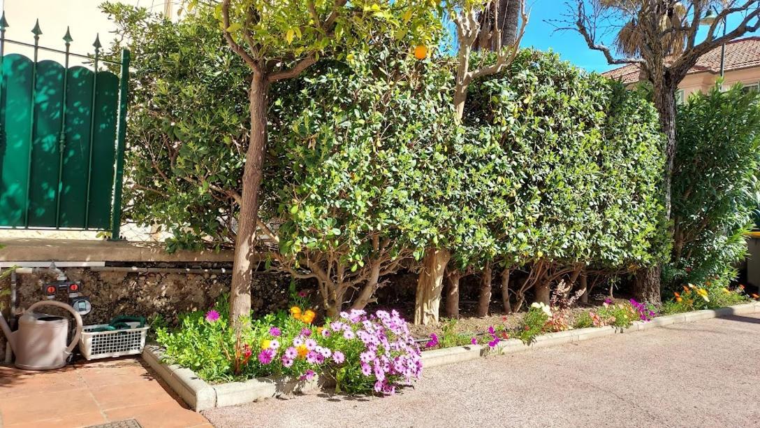 Rez-de-chaussée privatif spacieux 3* d'une villa centre ville Hyères Esterno foto